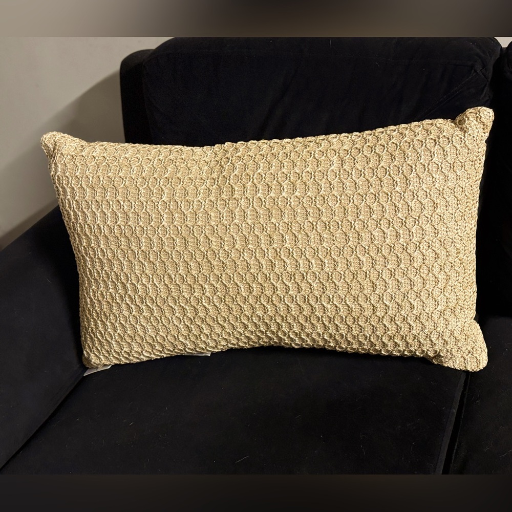 NWT Pottery Barn Outdoor throw Pillow